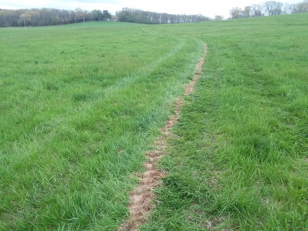 The healed line of a completed waterline run curving away across open pasture, showing a narrow strip of disturbed ground rather than a backfilled trench